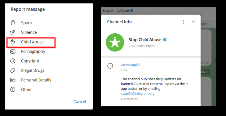 Current Methods for Reporting Child Abuse Content on Telegram